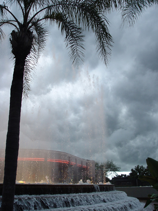 WDW03(84).JPG